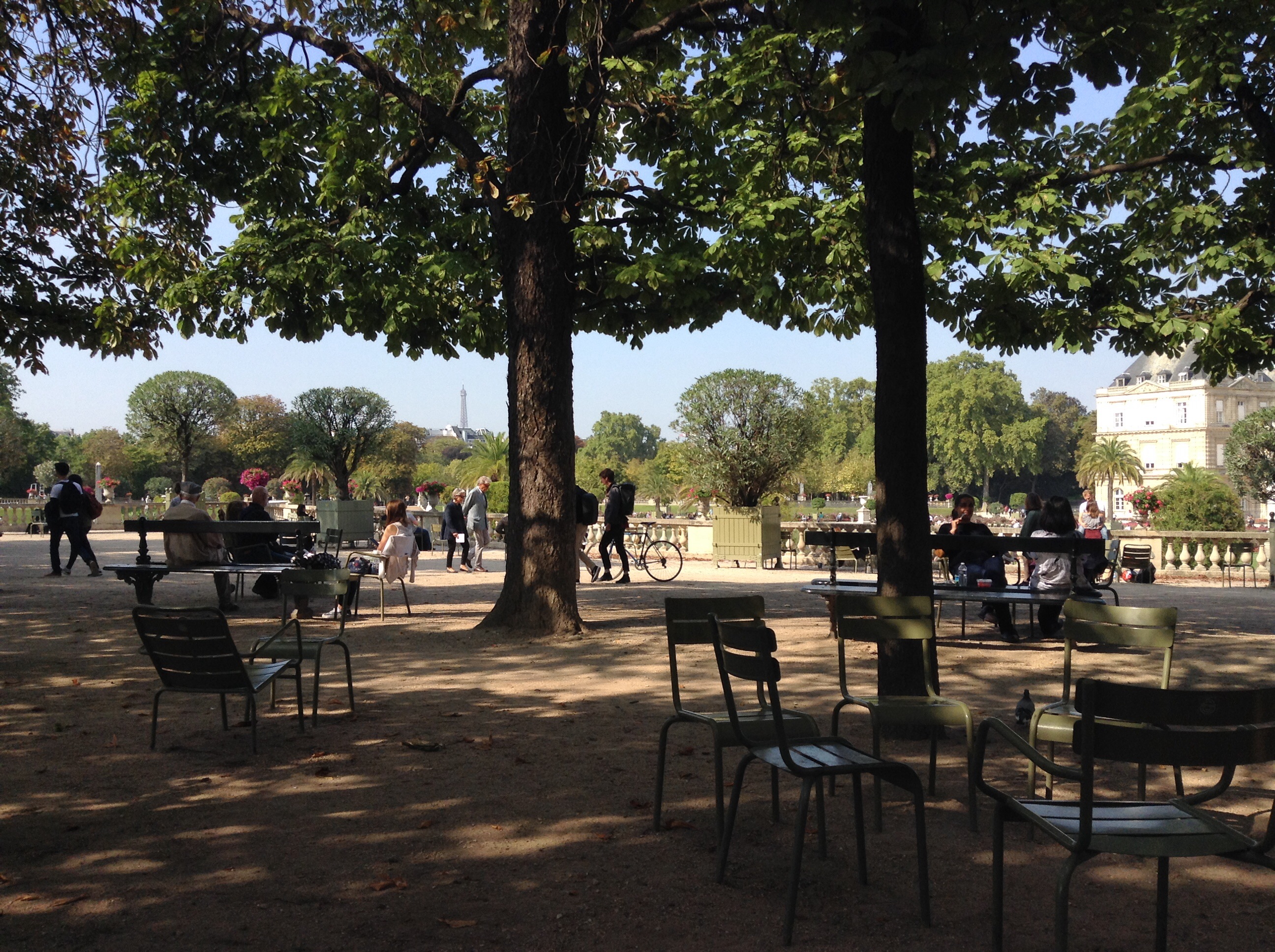 Il giardino del Lussemburgo - fotografia Samuel Cogliati