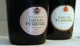Il caso Giulio Ferrari 2008 Il caso Giulio Ferrari 2008