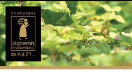 Champagne: i Vignerons Indépendants tagliano i ponti Champagne: i Vignerons Indépendants tagliano i ponti