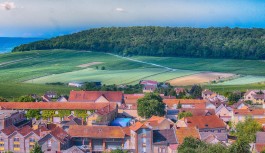 Il vigneto Champagne verso la ri(n)voluzione? Il vigneto Champagne verso la ri(n)voluzione?